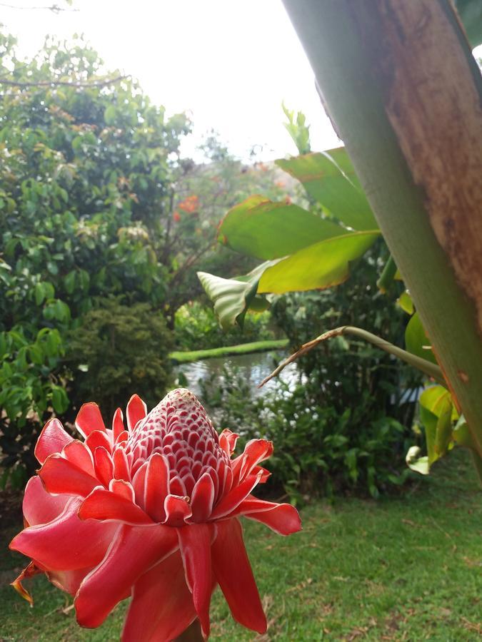 Rancho de Lelo Ecolodge&Sustainable Farm Monteverde Exterior foto