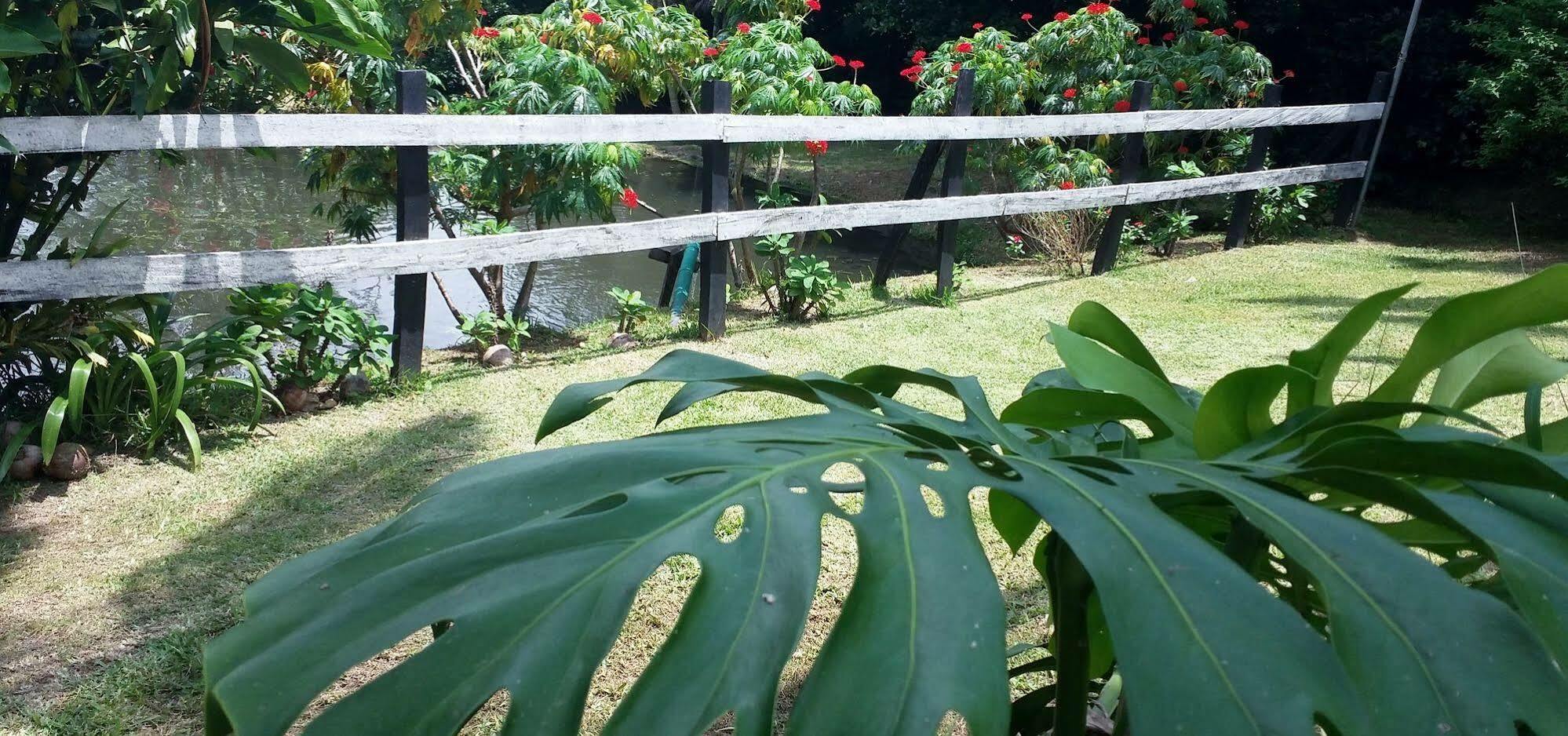 Rancho de Lelo Ecolodge&Sustainable Farm Monteverde Exterior foto