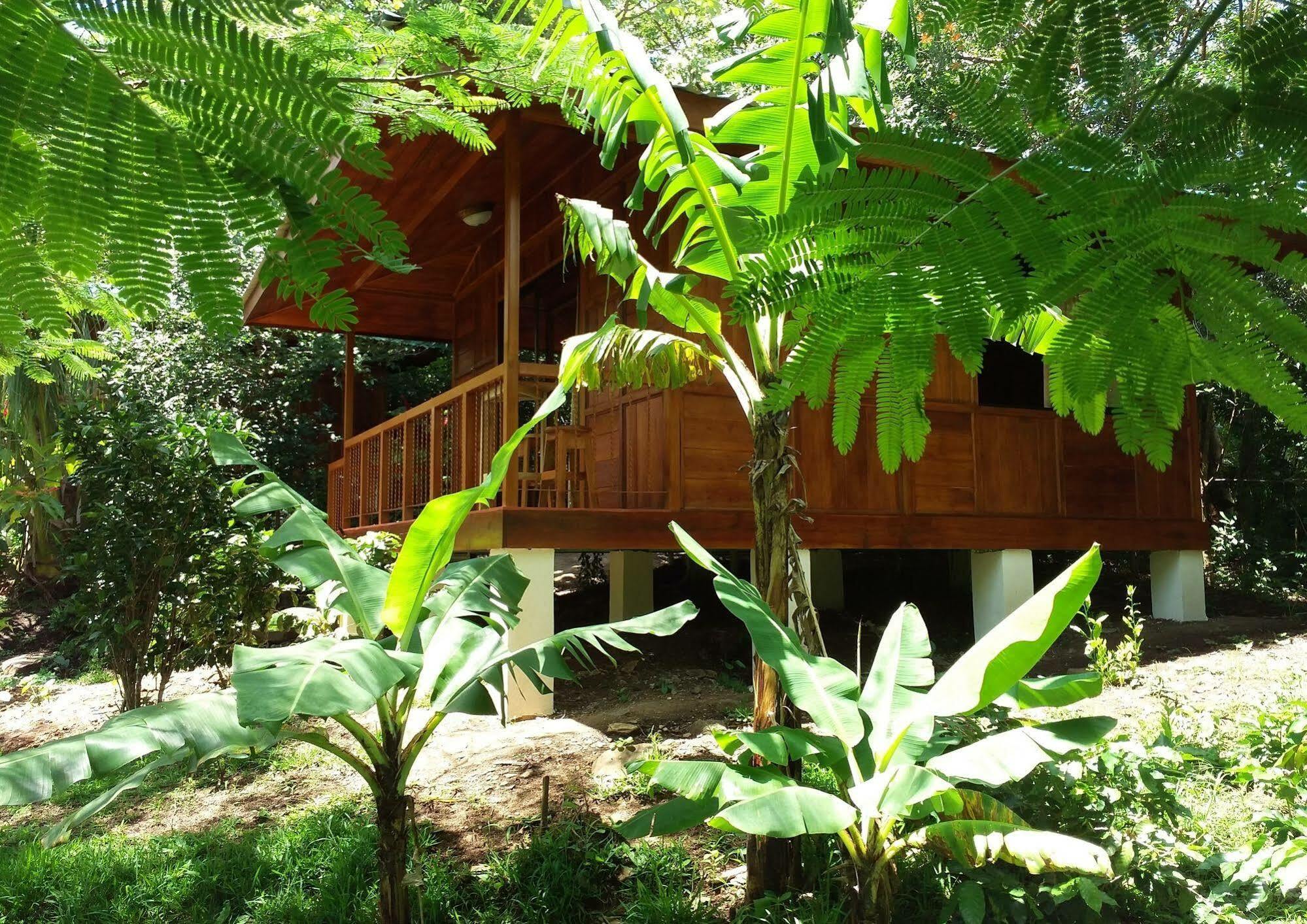 Rancho de Lelo Ecolodge&Sustainable Farm Monteverde Exterior foto